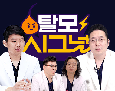 탈모시그널