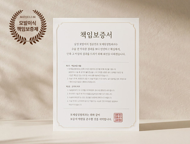 책임보증제