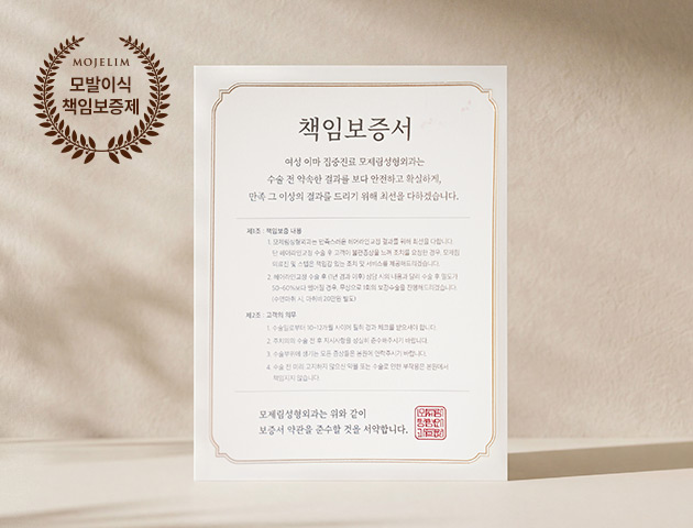 책임보증제